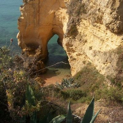 乐发体育app娱乐手机版